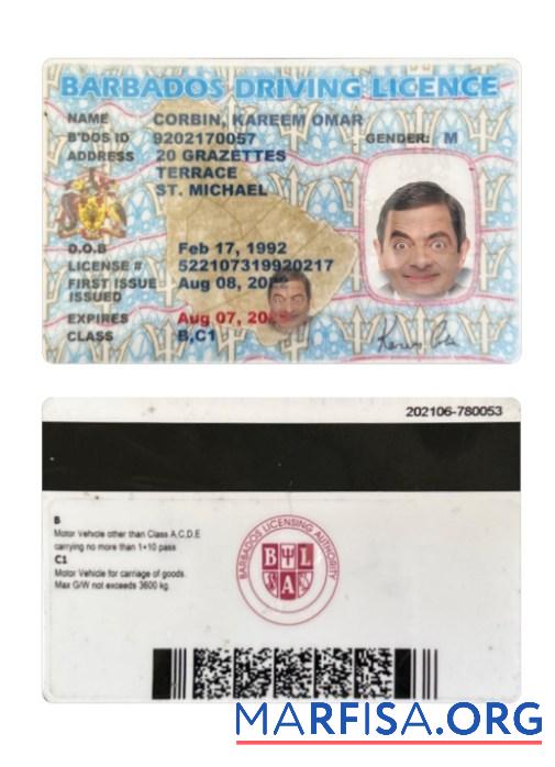 Blank Barbados driving license template